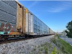 WRWK 405692